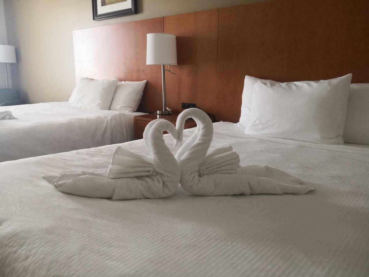 Quality Inn & Suites Hawkesbury Ngoại thất bức ảnh